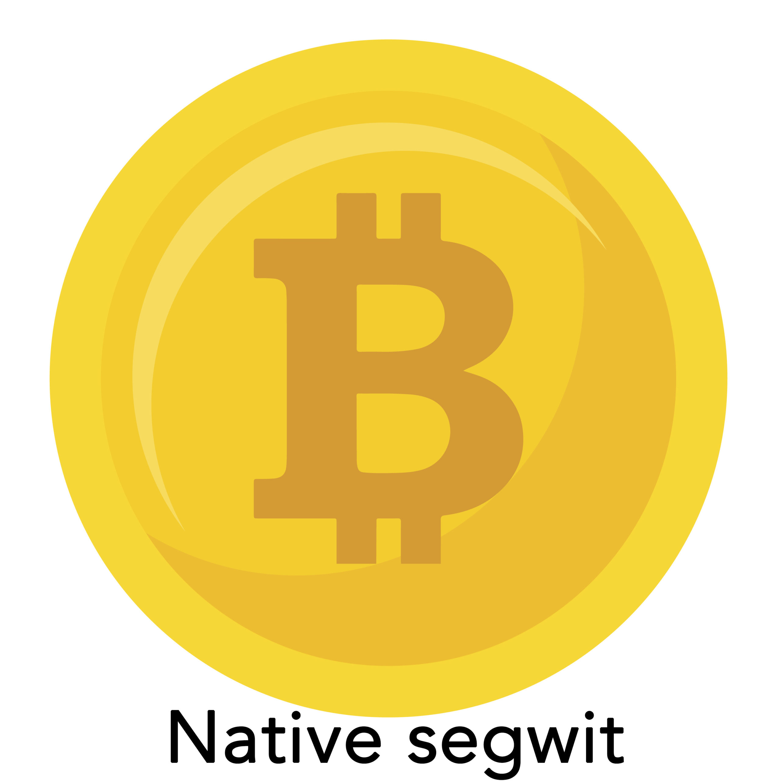 bitcoin native segwit